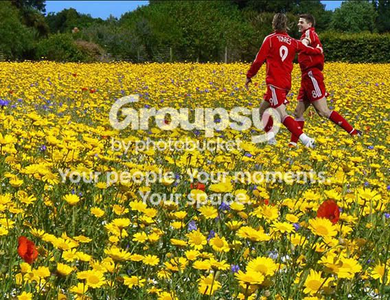 flowermeadow.jpg