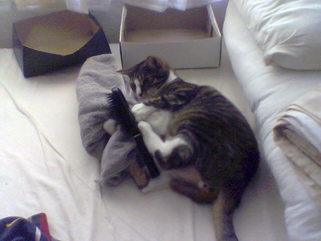 Image000.jpg