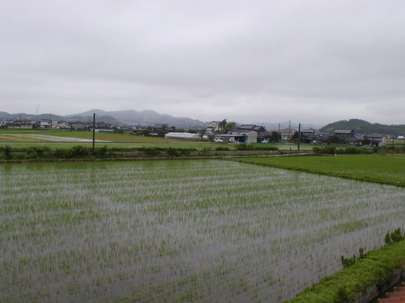P1010018.jpg