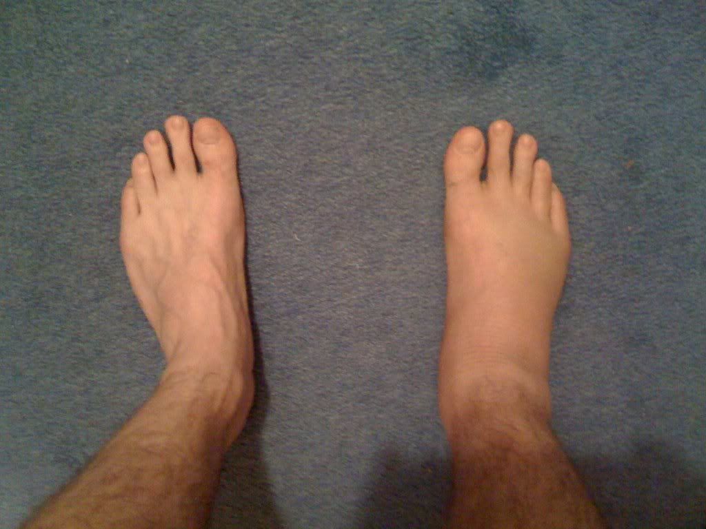 2009-8.jpg