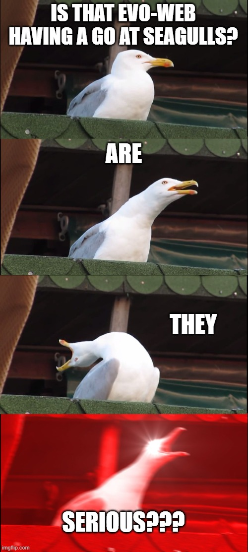 Di9NFo7.png