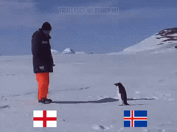 xT8qB5jIl1ntiggG1q.gif