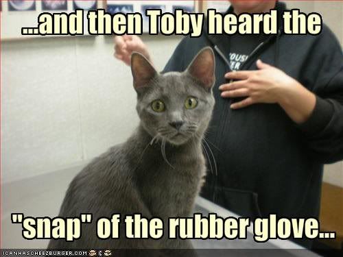 Catclove.jpg