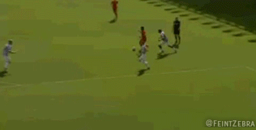 8754499424_07a0335160_o.gif